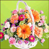 Garden Fresh - Click here to View more details about this Product