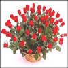 Ecstasy - Click here to View more details about this Product