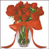 Extravaganza - Click here to View more details about this Product