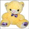 Yellow Teddy