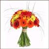 Colorful Celebrations - Click here to View more details about this Product