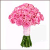 Pink Beauty - Click here to View more details about this Product