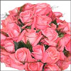 Click here to view More Flower