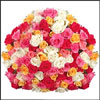 Click here to View All Products in this Sub-Category 