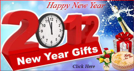 2012 New Year Gifts