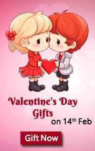 Valentine's Day Gifts