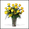 Magic Yellow                                                          