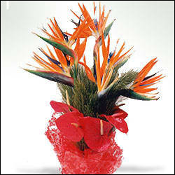 "Flowers N Dryfuits - Code FDM02 - Click here to View more details about this Product