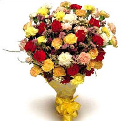 "Carnation Carnival.. - Click here to View more details about this Product