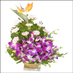 "Flower basket with 25 Red roses and Fillers - Click here to View more details about this Product