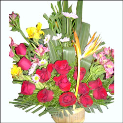 "Blooming Wishes - Click here to View more details about this Product