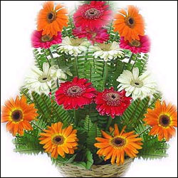 "Talking Roses with Chocolates Flower Basket - Click here to View more details about this Product