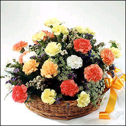 "A Bundle of Happiness - Click here to View more details about this Product