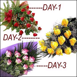 "Fruits N Flowers - code FF07 - Click here to View more details about this Product