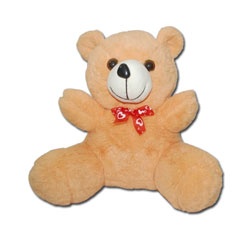  Teddy Bear