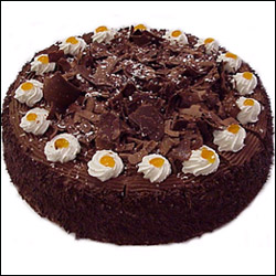 "Number 25 Chocolate cake - 6kgs - Click here to View more details about this Product