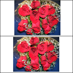 "Talking Roses (Print on Rose) (50 Red Roses) Love You Mom - Click here to View more details about this Product