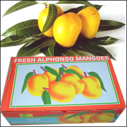 "Ratnagiri Alphonso - 12 Pieces - Click here to View more details about this Product
