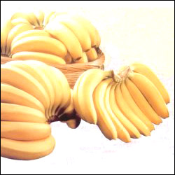 "Banana Bonanza - Click here to View more details about this Product