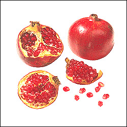 "Pomegranates - 12nos - Click here to View more details about this Product