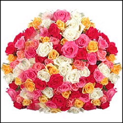"100Mixed Roses - Click here to View more details about this Product