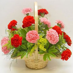 "Delight Flower Basket - Click here to View more details about this Product