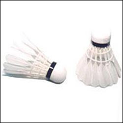 productname