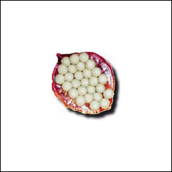 "Almond House -  Pala Kova1kg - Click here to View more details about this Product