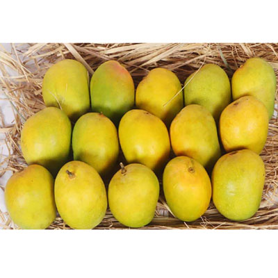"Mangoes -  Rasalu - 5 kgs - Click here to View more details about this Product